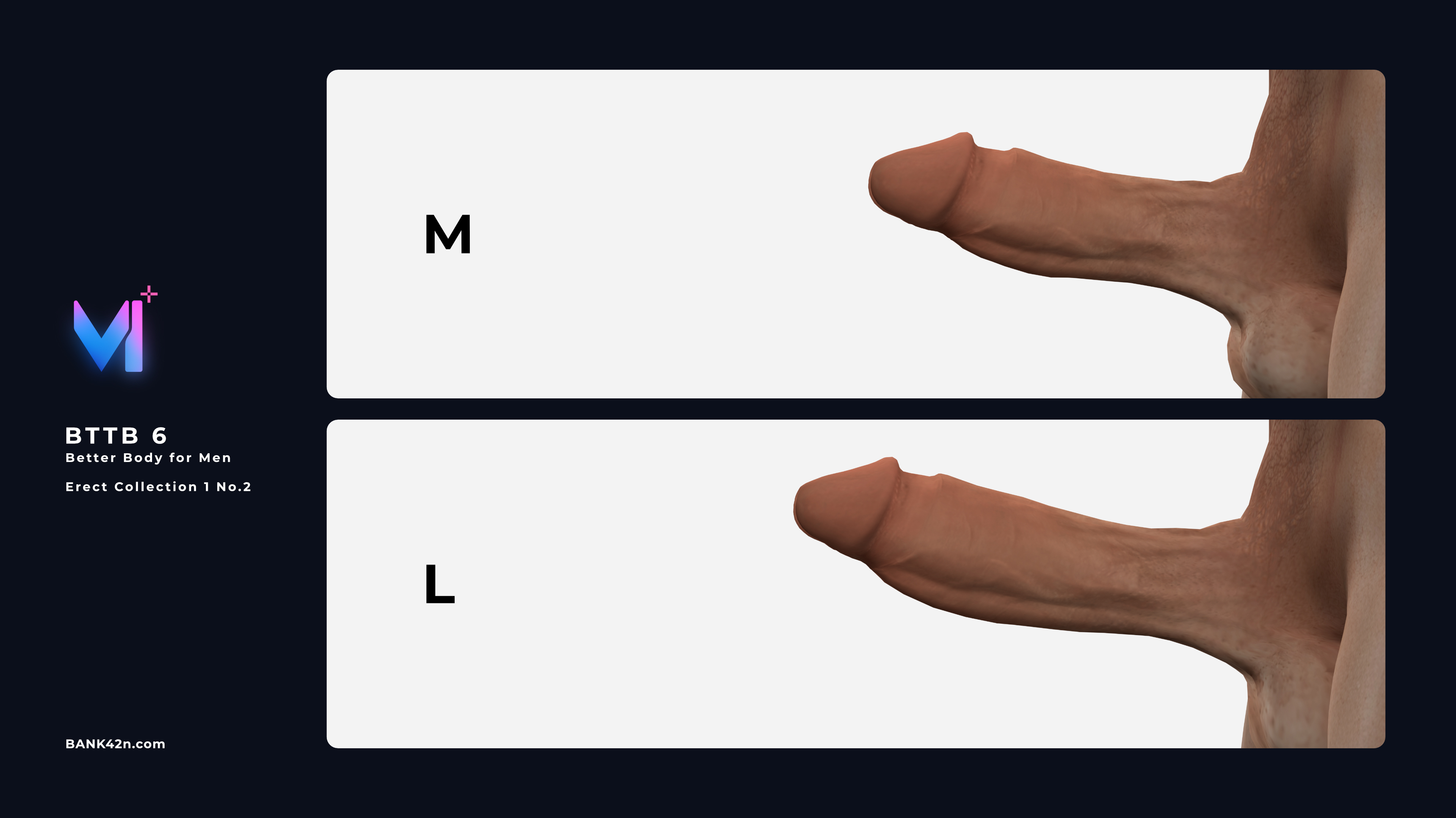 Erect-Collection-1-No.2