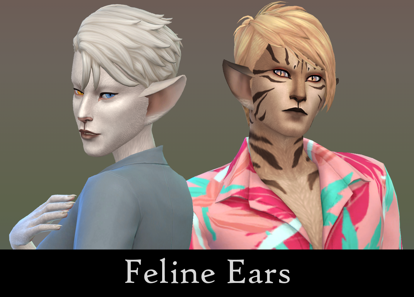 catears_header