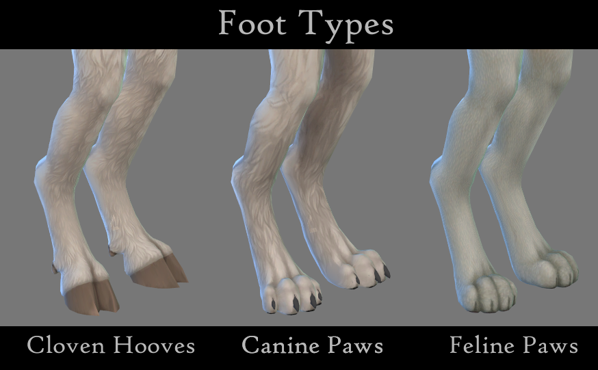 foottypes