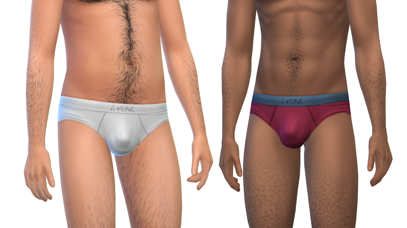 header_vplbriefs